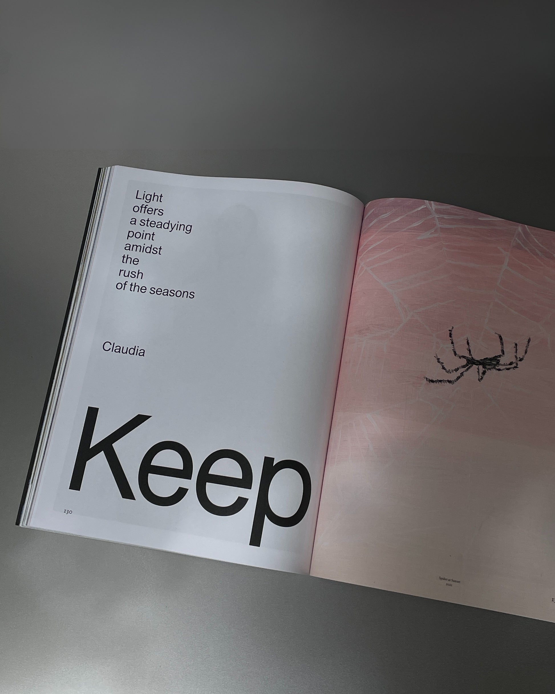 THE PLANT – MAGAZINE NO.21
